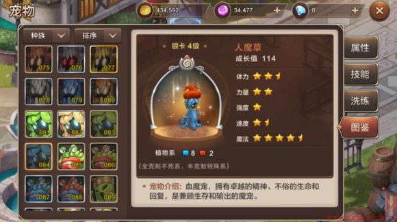 魔力宝贝手机版人魔草怎么样